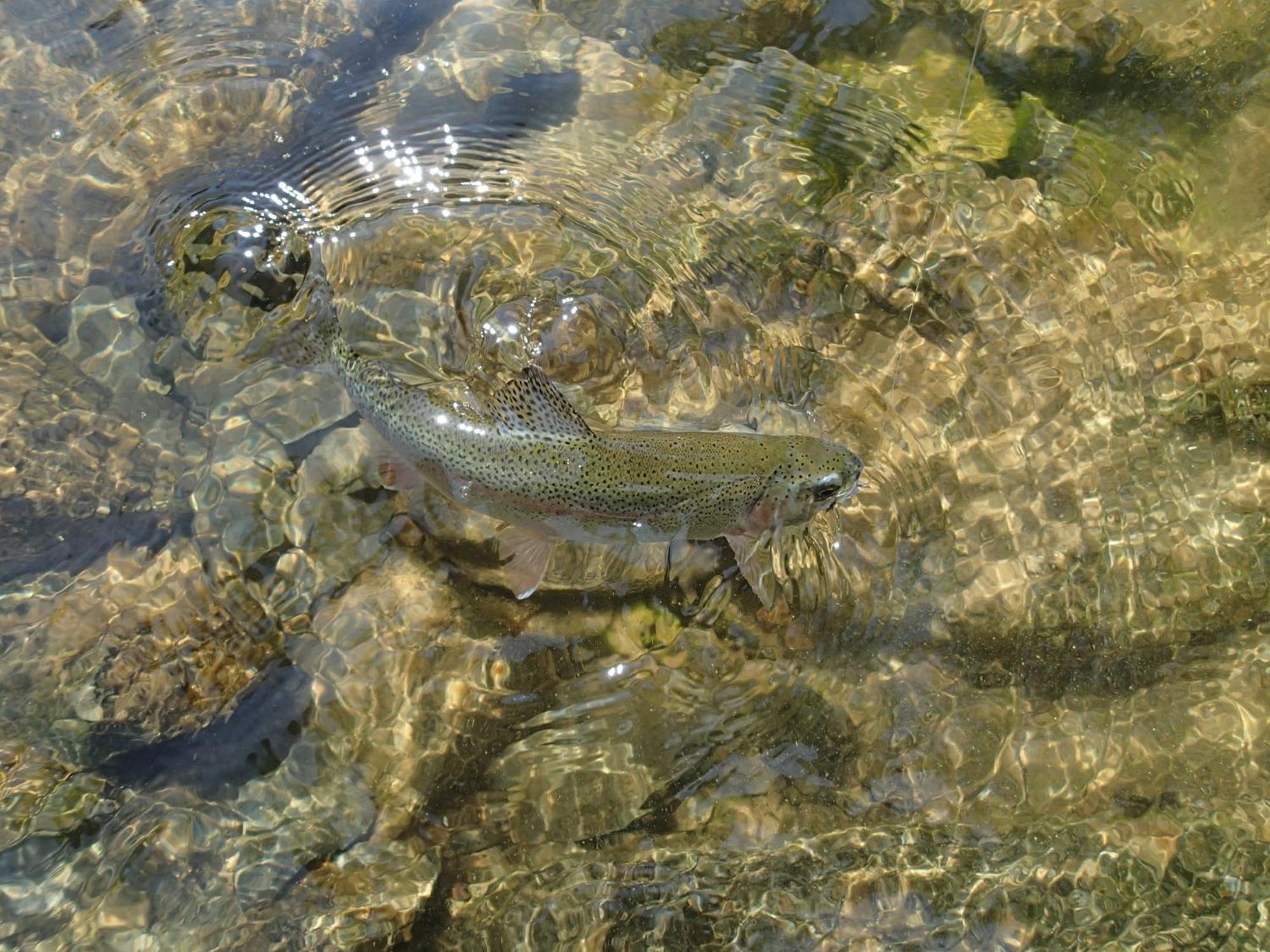 Tsukushi Village Tsurui Zewnętrze zdjęcie