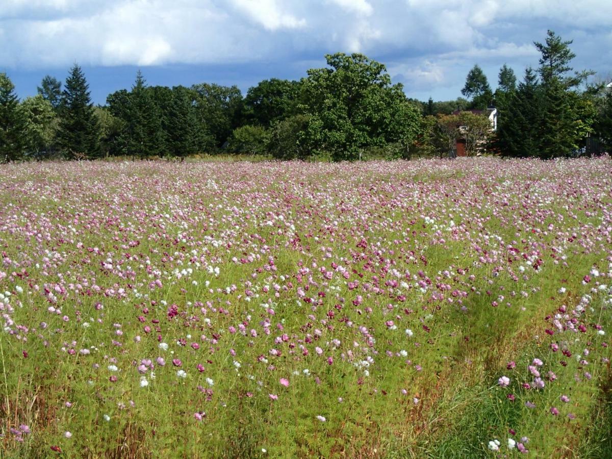 Tsukushi Village Tsurui Zewnętrze zdjęcie